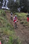_DSC0082080.jpg