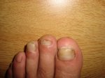 DSC01912.jpg