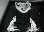 DSC02564.jpg