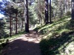 27052009603.jpg