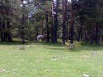 27052009609.jpg