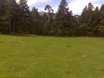 27052009610.jpg