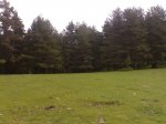 27052009611.jpg