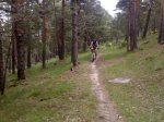 27052009614.jpg