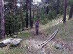 27052009616.jpg