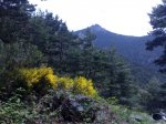 27052009619.jpg