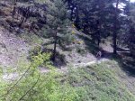 27052009621.jpg