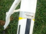 DSC08737.JPG