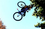 invert 360.jpg
