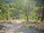 DSCN3078.JPG