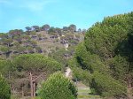 DSCN3080.JPG