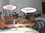 L1010985_redimensionar.jpg