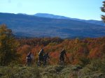IMG_0565.JPG