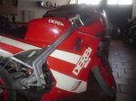 DSC00437.JPG