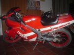 DSC00438.JPG
