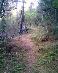 Imagen046.jpg