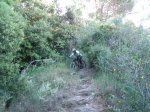 DSCF1002.jpg
