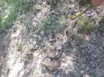 DSCN2417.jpg