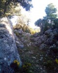 Imagen052.jpg