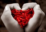 corazÃ³n [800x600].jpg