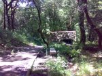 29052009667.jpg