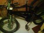 DSC00011.jpg