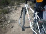 DSCN2012.jpg