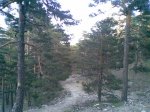 29052009(007).jpg
