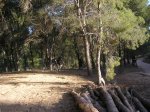 salida 30.05.09 002 [Resolucion de Escritorio].jpg
