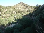 DSC02726.JPG