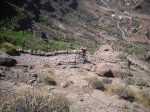 2009-05-30 11-26-50-11262_redimensionar.JPG