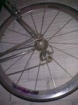 28052009158.jpg