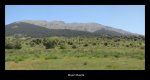 qvo vadis049_1024x552.JPG