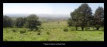 qvo vadis050_1024x454.JPG