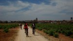 DSC00517.jpg