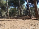 DSC01612.JPG