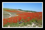 IMG_1120.jpg