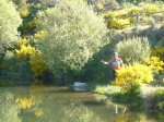 Foto9.JPG