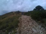 IMG_0179.JPG
