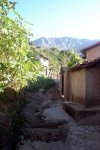 DSC03846.jpg