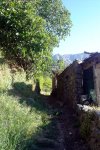 DSC03848.jpg