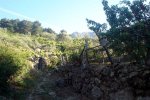 DSC03851.jpg