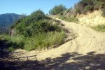 DSC03855.jpg