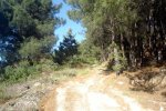 DSC03856.jpg