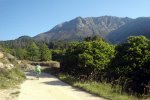 DSC03859.jpg