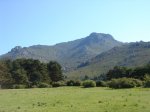 DSC07806.JPG