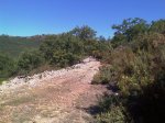 IMAG0224.jpg