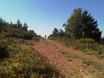 IMAG0225.jpg