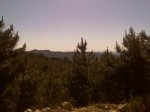 IMAG0233.JPG