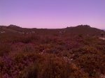 IMAG0250.JPG